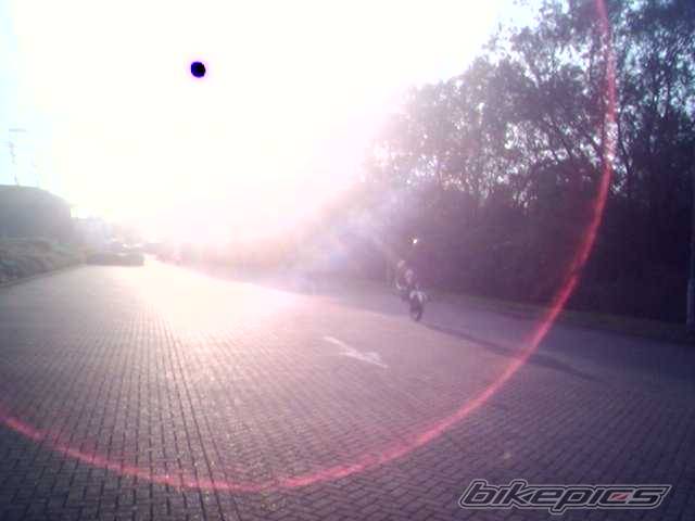 Photo 354657