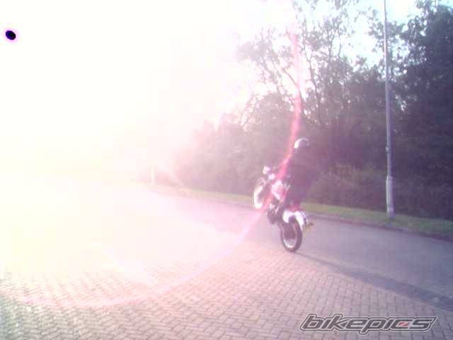Photo 354660