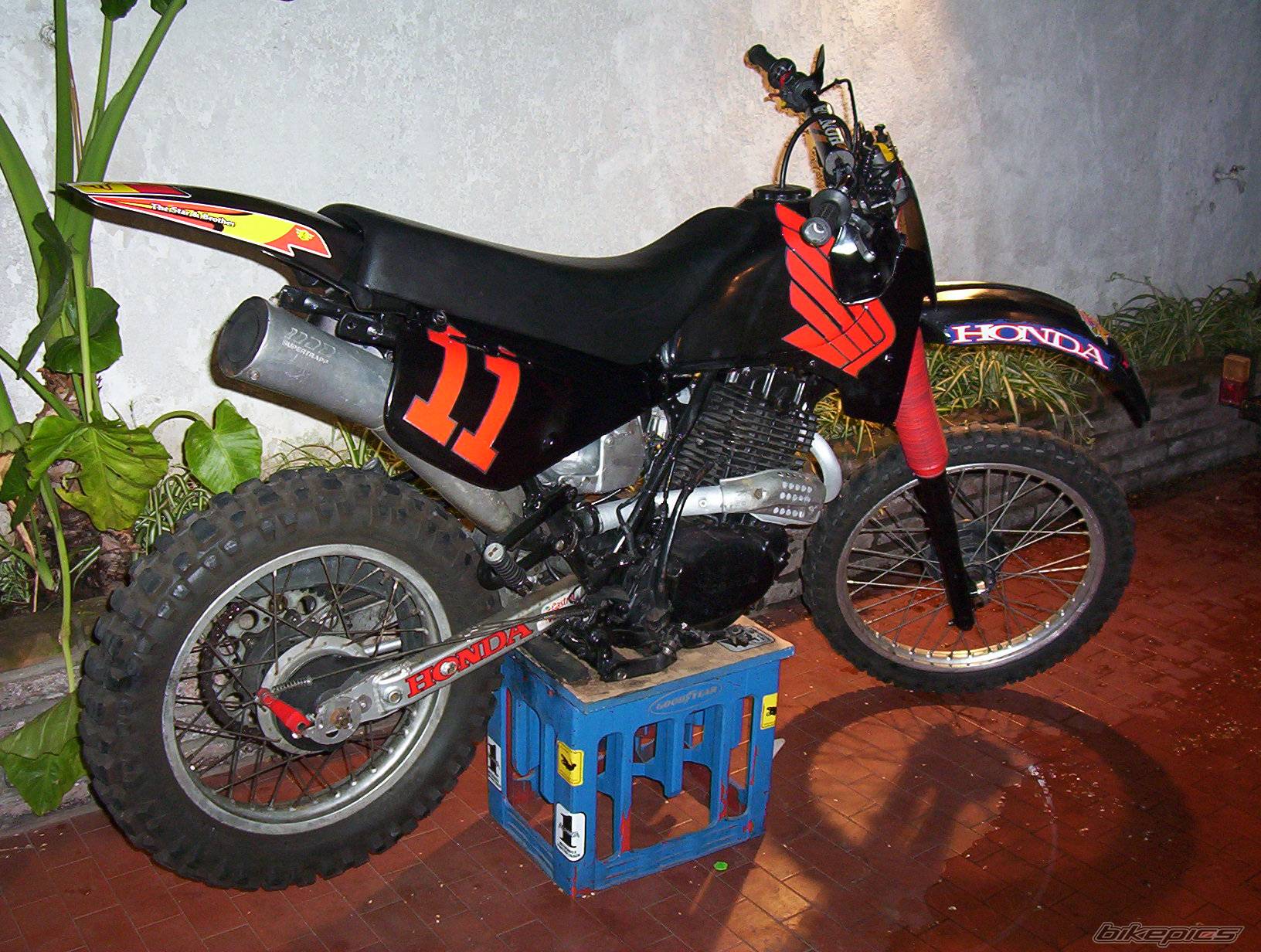 Bike Photo 354745