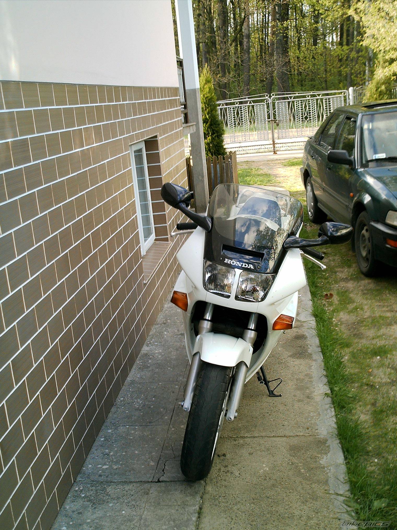 Photo 354835