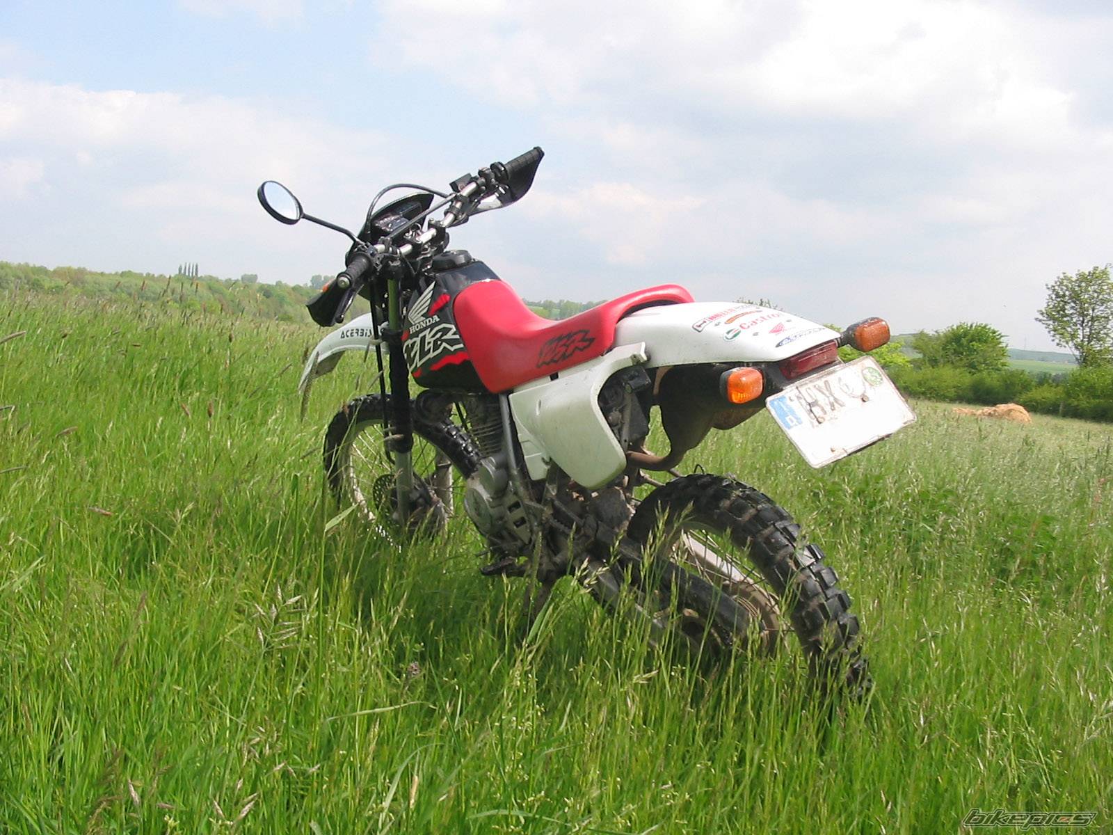 Bike Photo 354882