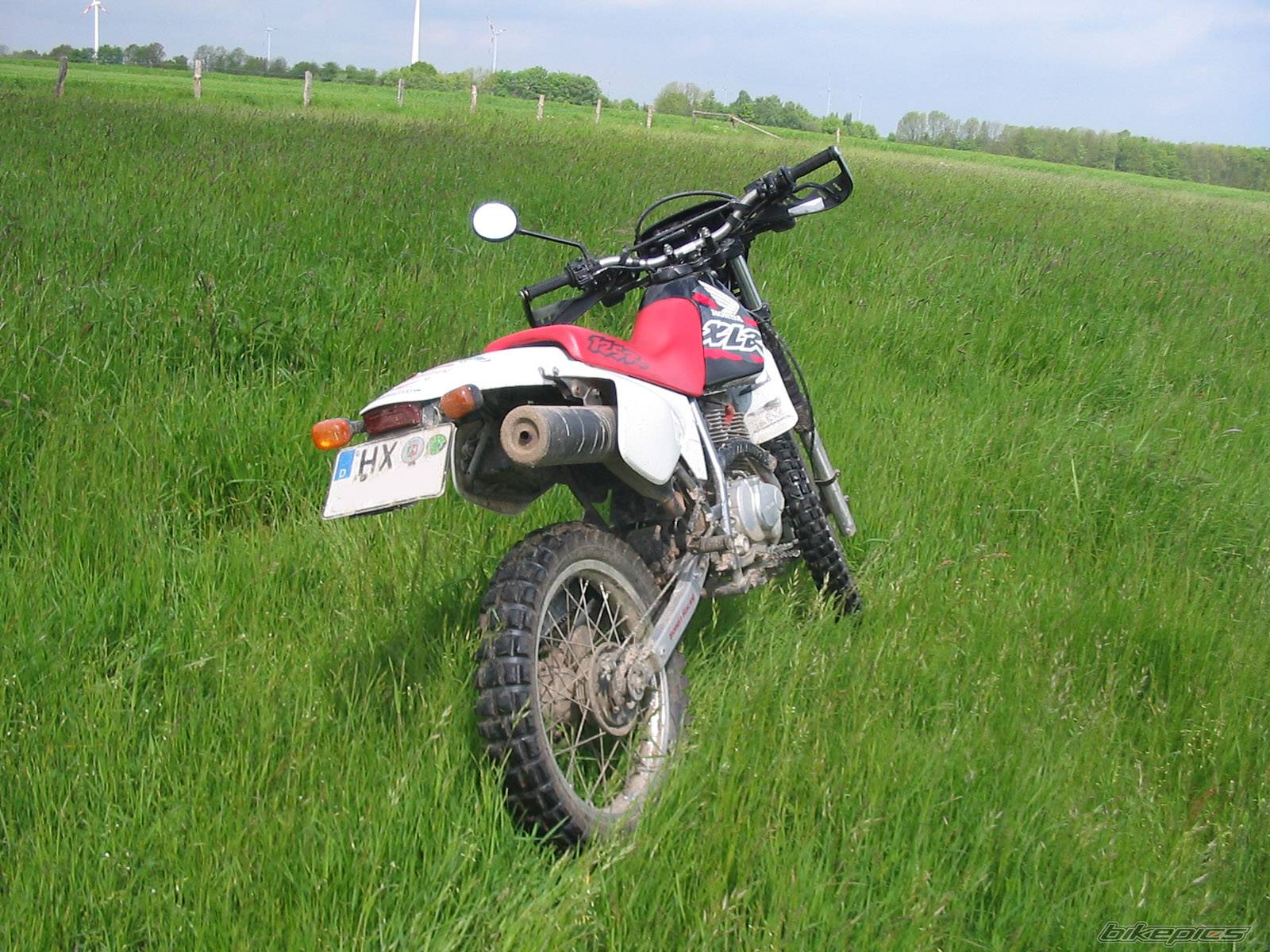 Bike Photo 354884