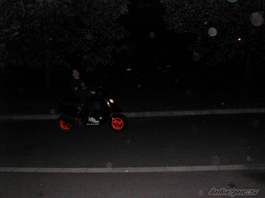 Photo 354899
