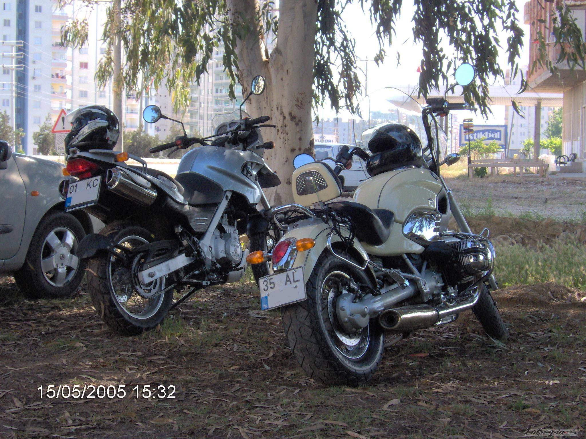 Photo 354946