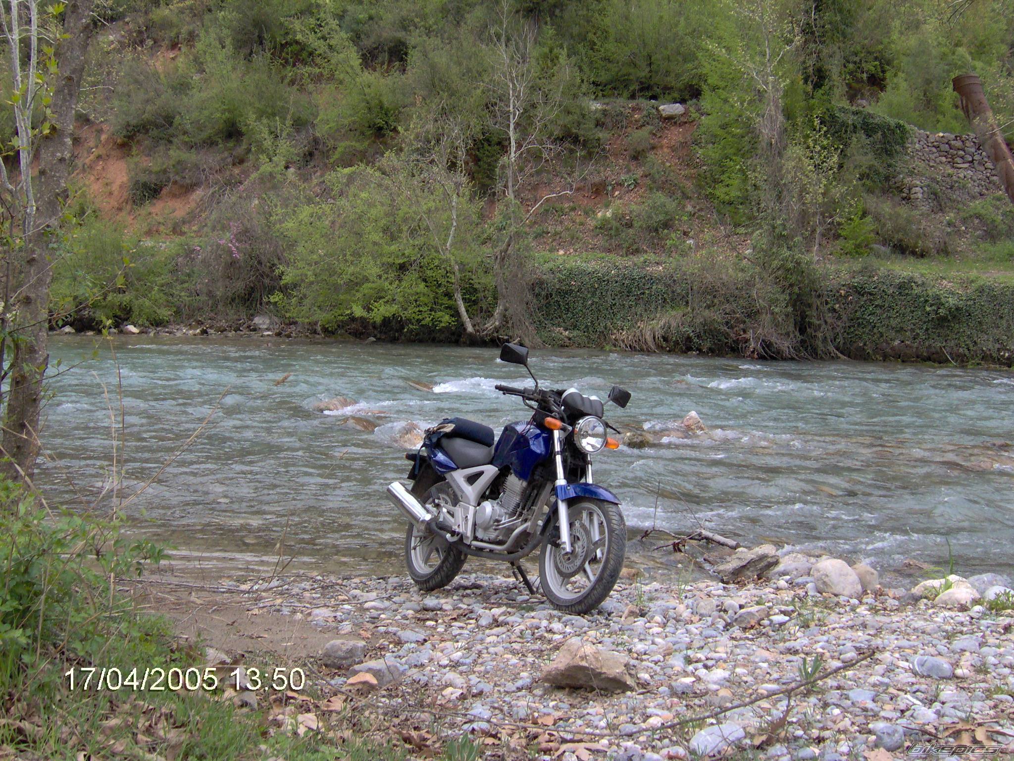 Photo 354974