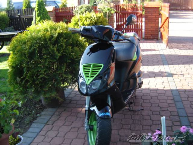 Photo 355097