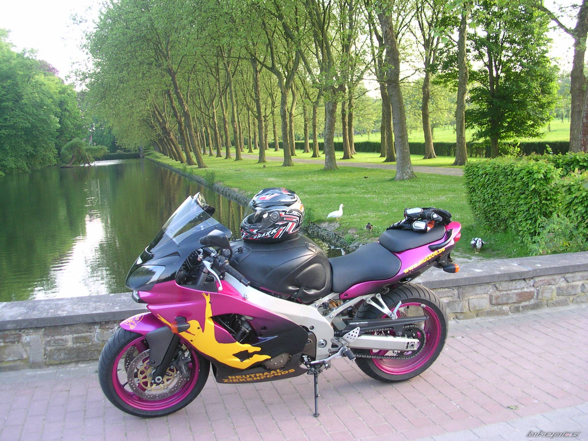 Bike Photo 355217