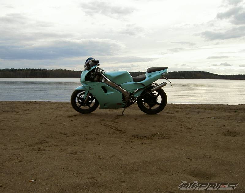 Photo 355226