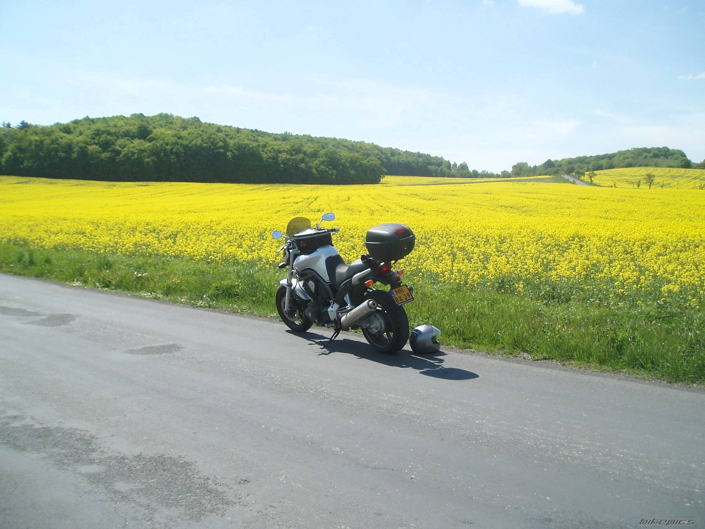 Bike Photo 355235
