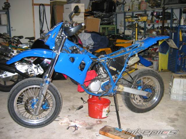 Photo 355270
