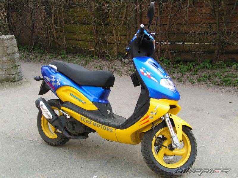 Photo 355288