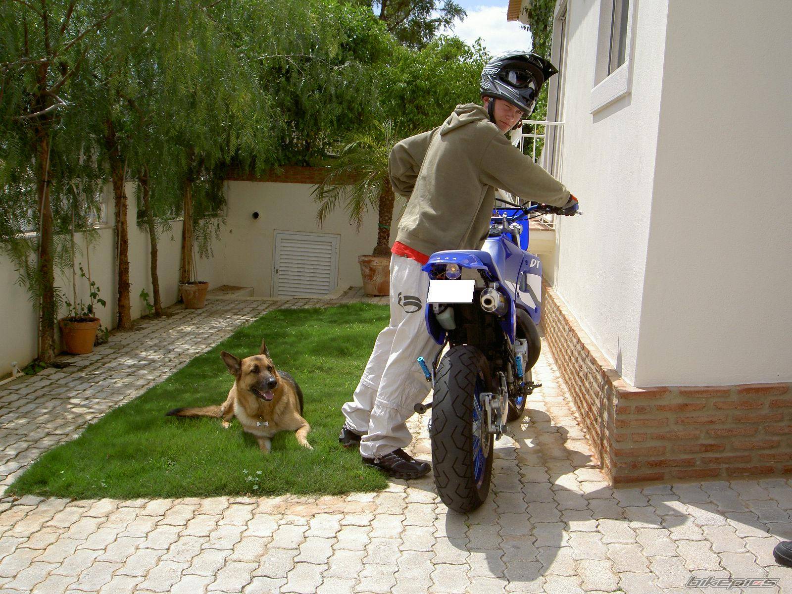 Bike Photo 355344