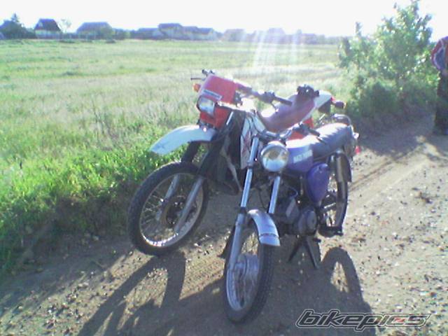 Photo 355352