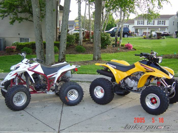 Photo 355429