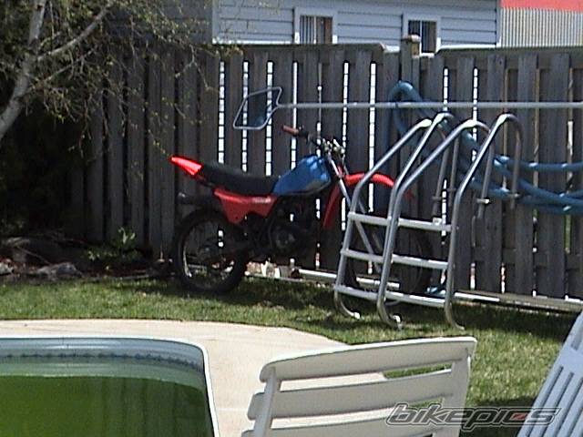 Photo 355462