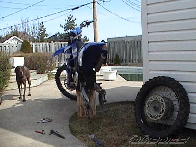 Photo 355465
