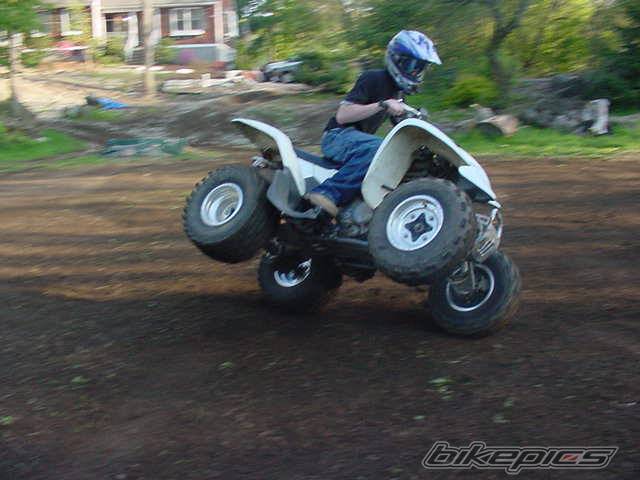 Photo 355474