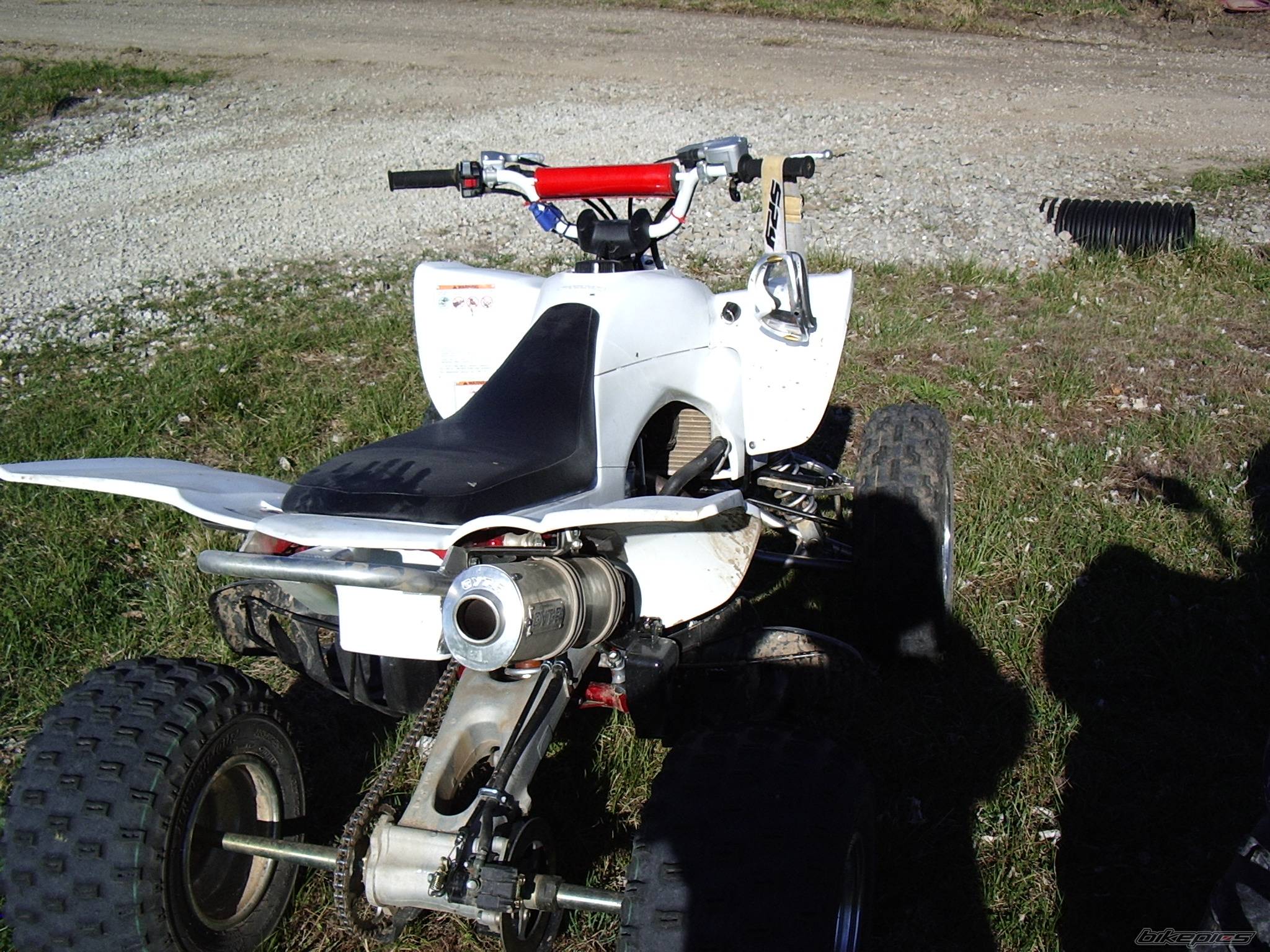 Photo 355521