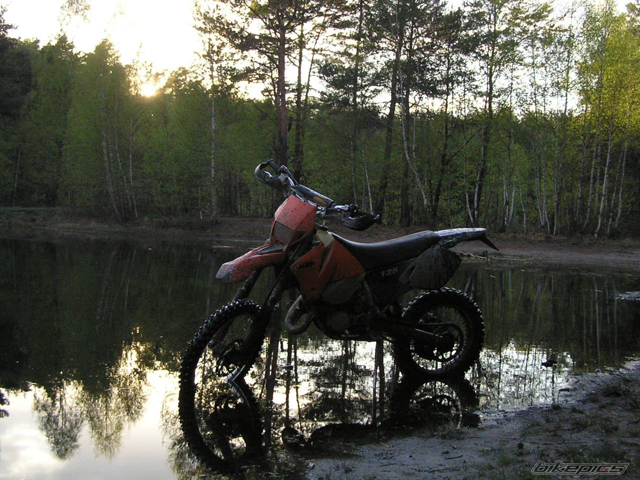Bike Photo 355570