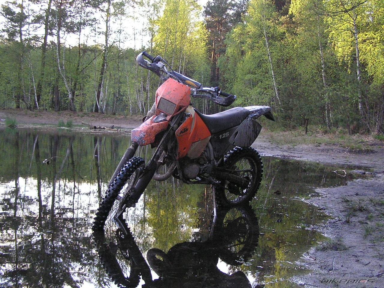 Bike Photo 355572