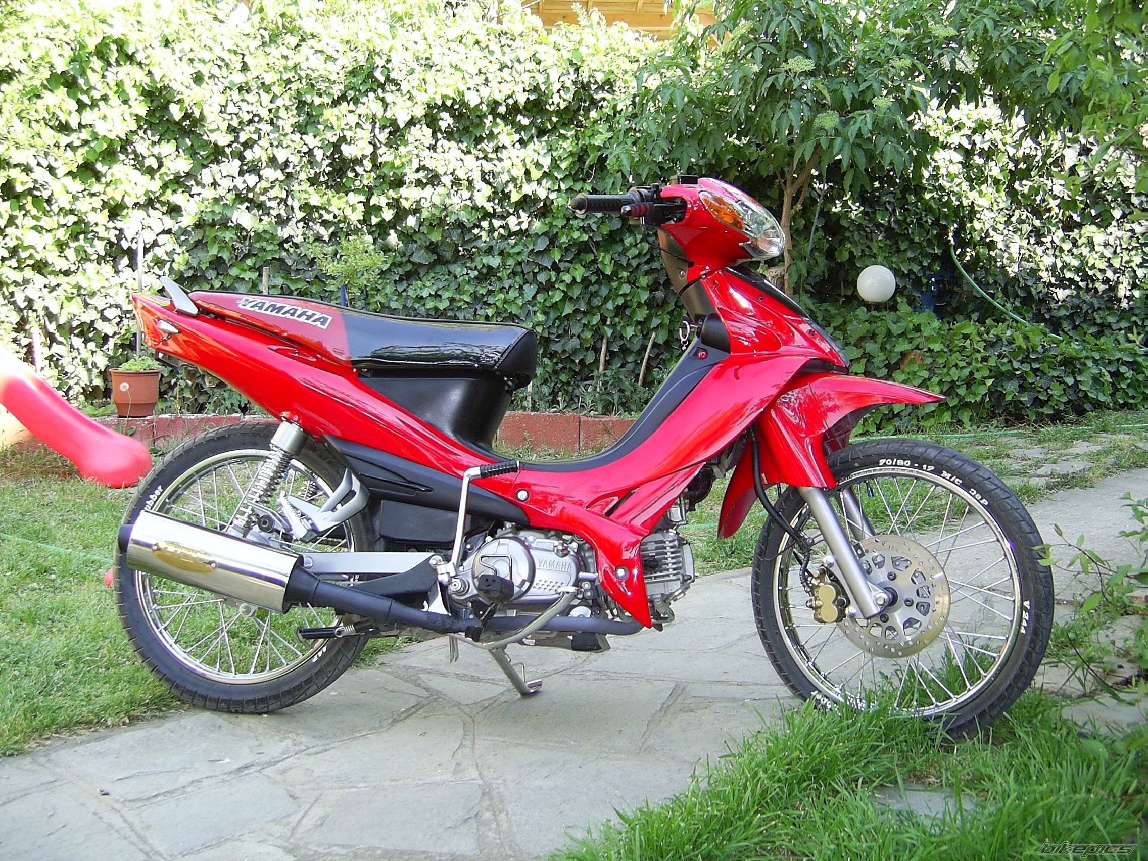 Bike Photo 355642