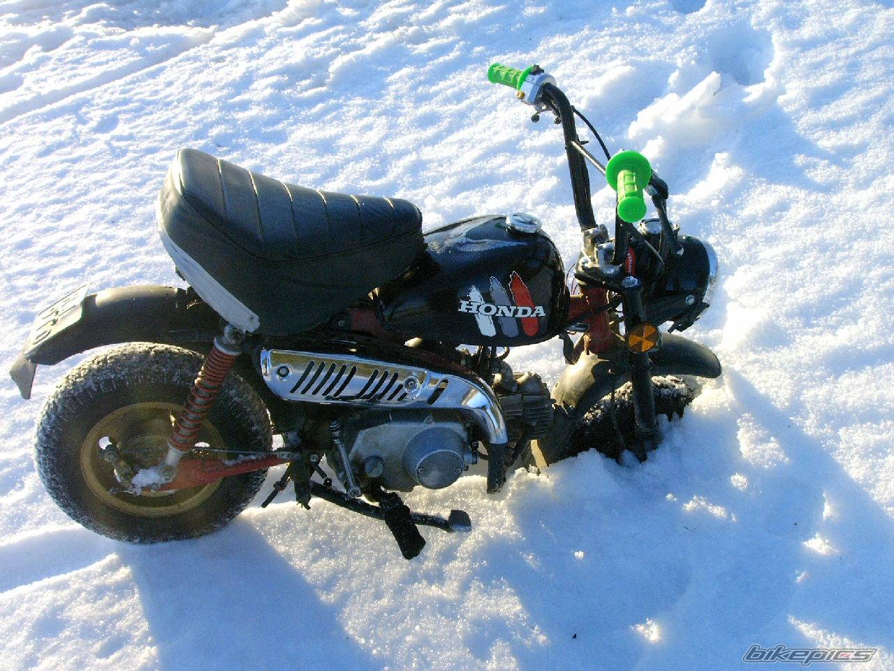Bike Photo 355778