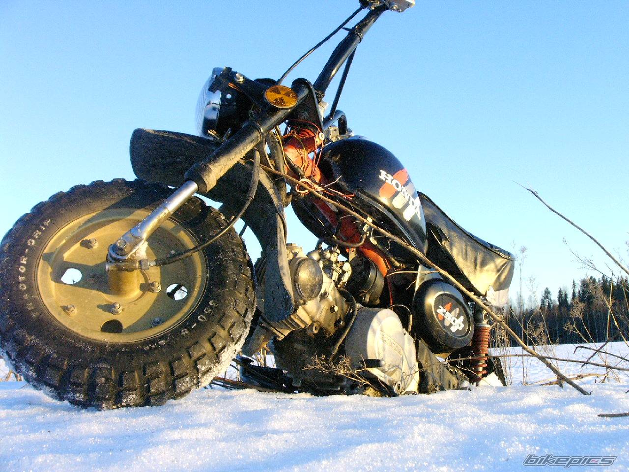 Bike Photo 355780