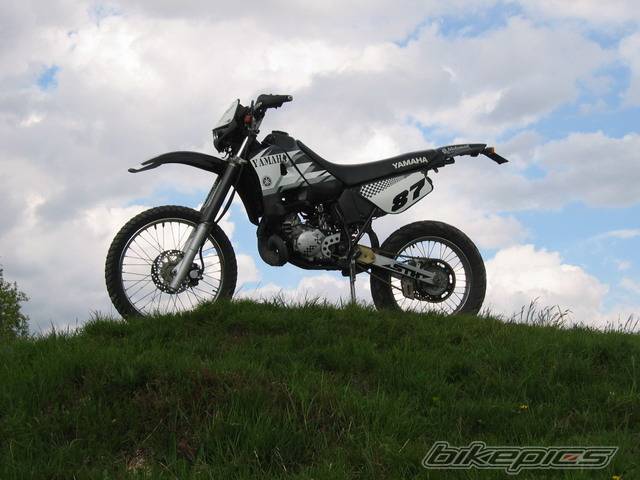 Photo 355786