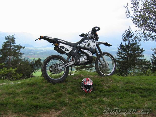 Photo 355791