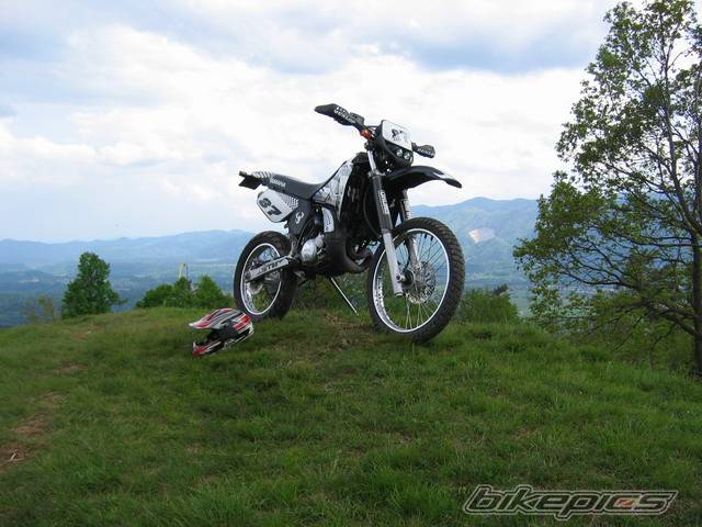 Photo 355792