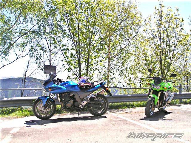 Photo 355798