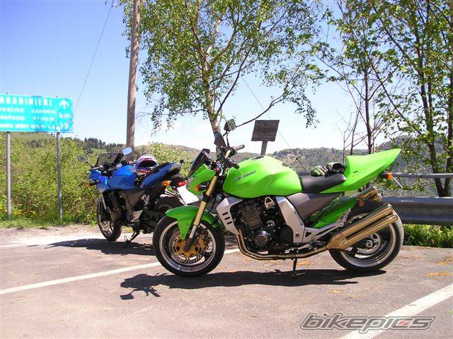 Photo 355799