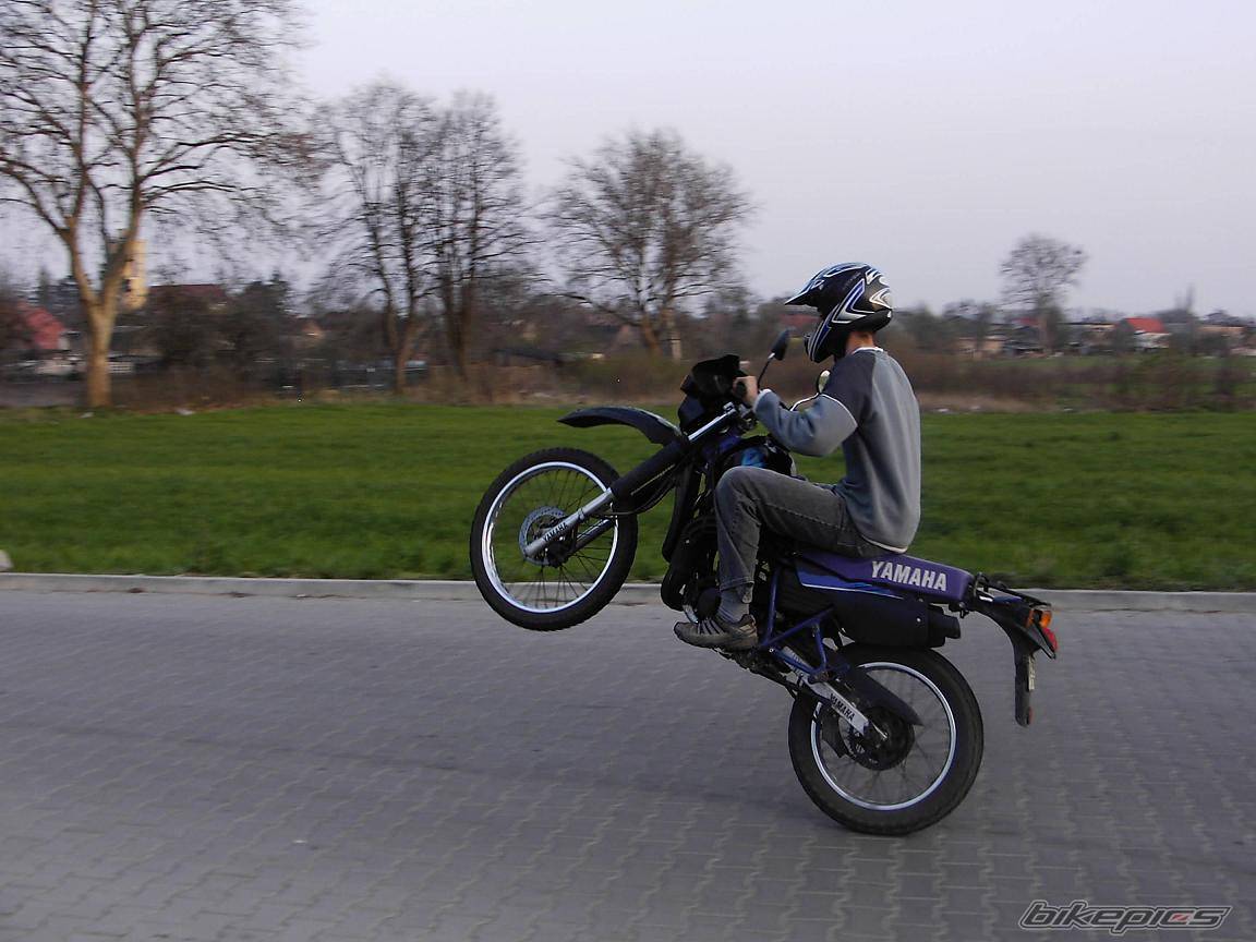 Bike Photo 355837