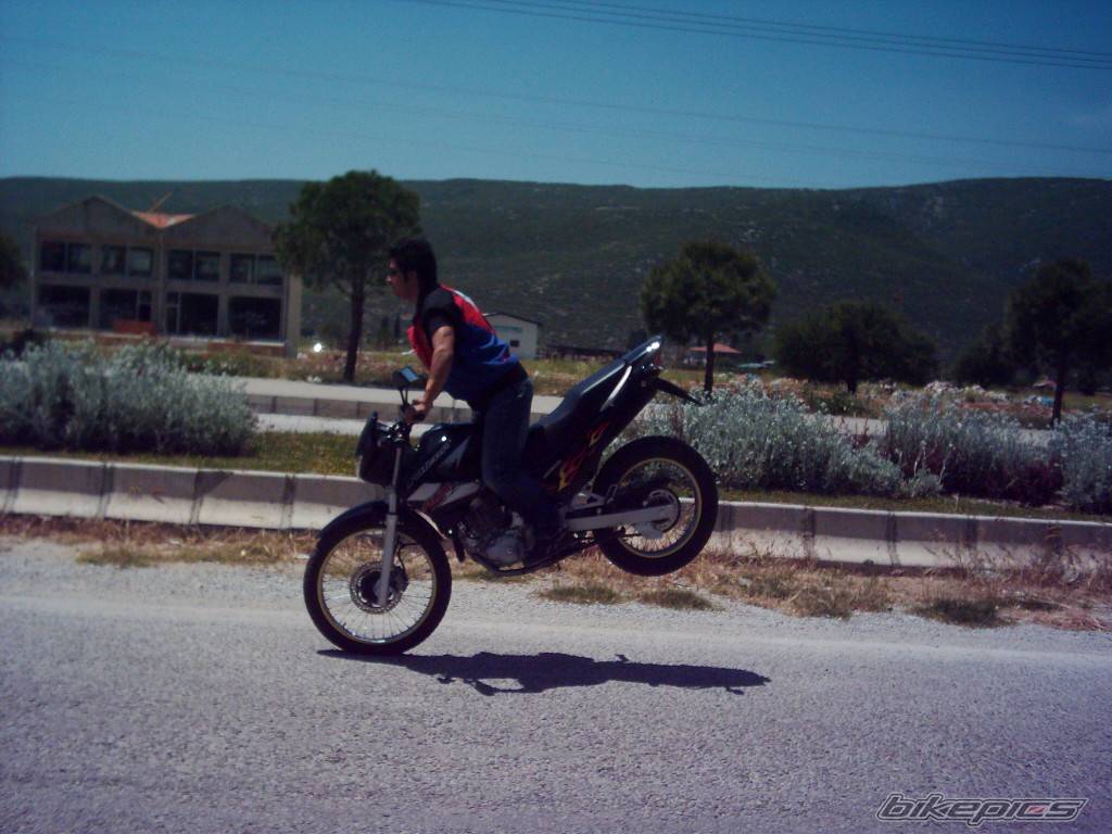 Bike Photo 355864