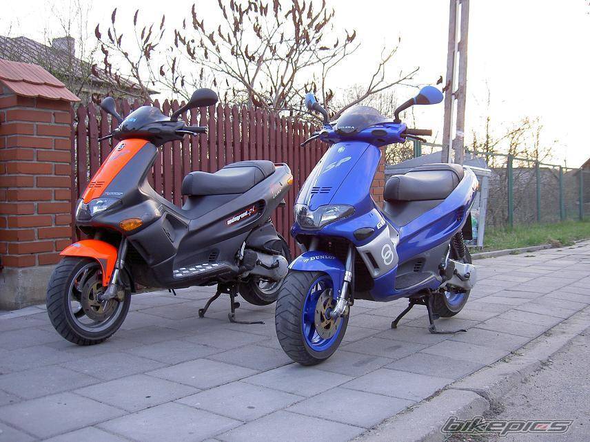 Photo 355871