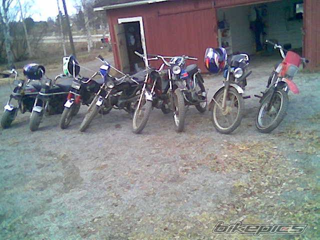 Photo 355905