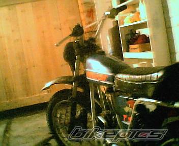 Photo 355909
