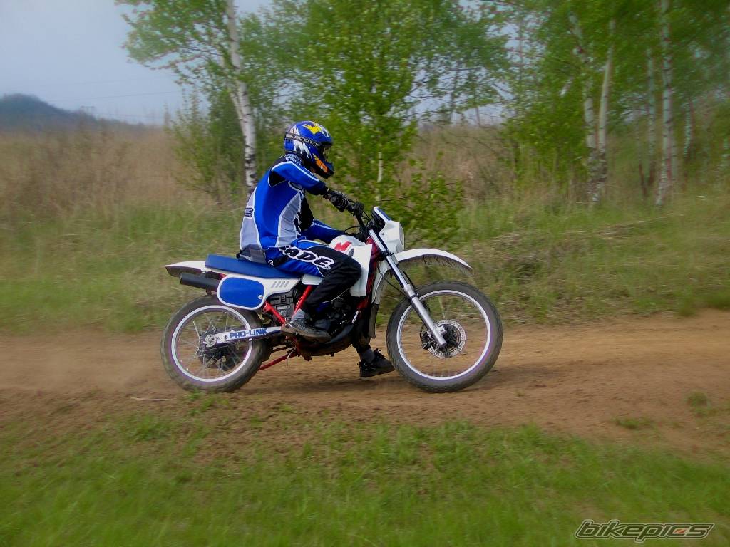 Bike Photo 355914