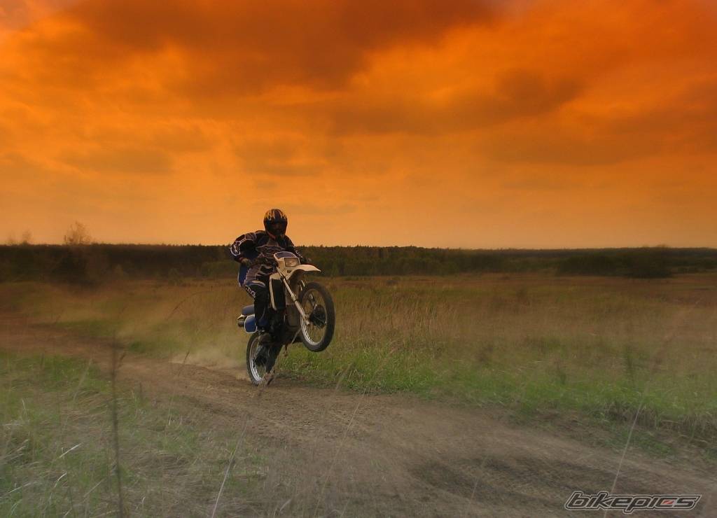 Bike Photo 355935