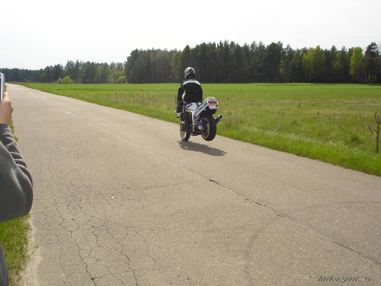Photo 356010