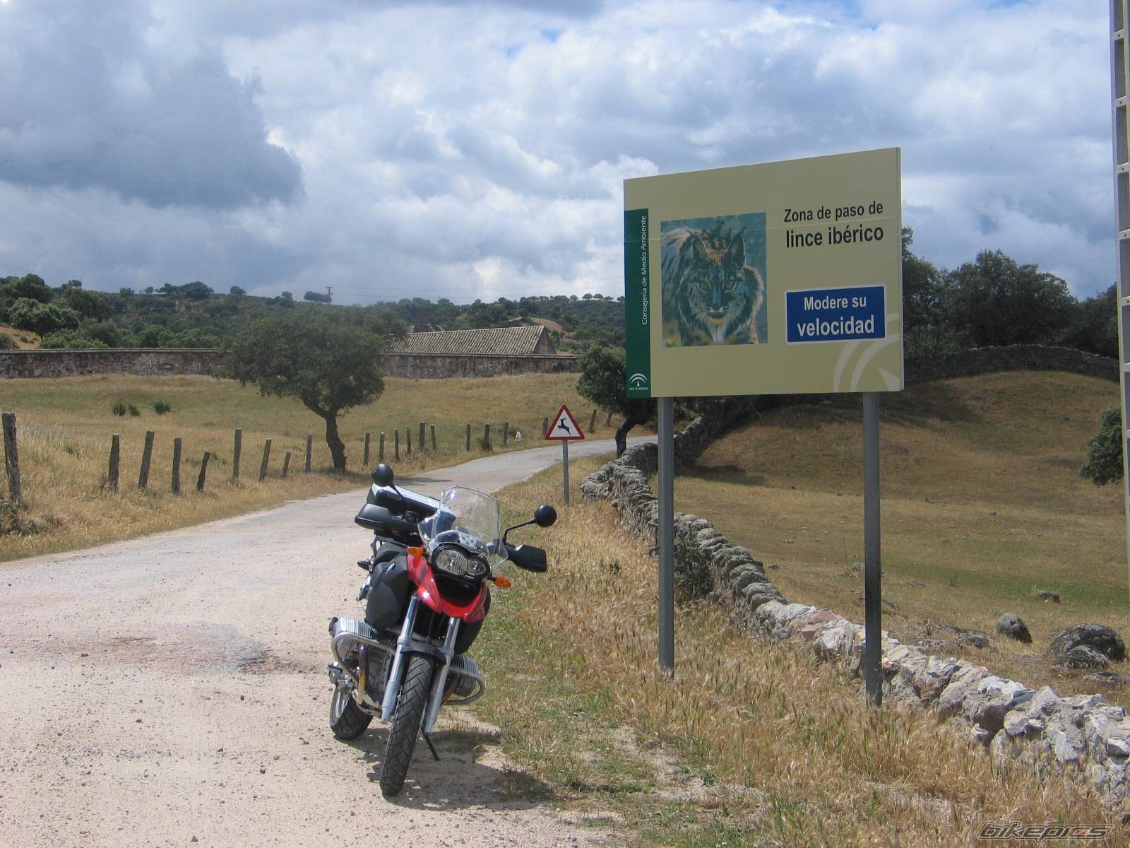 Bike Photo 356078