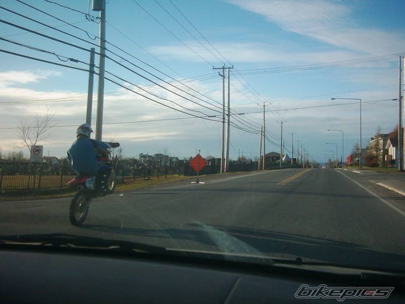 Photo 356139