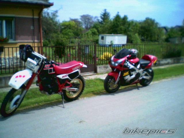 Bike Photo 356227