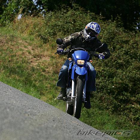 Photo 356291