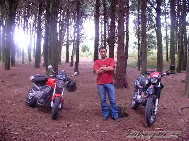 Bike Photo 356368