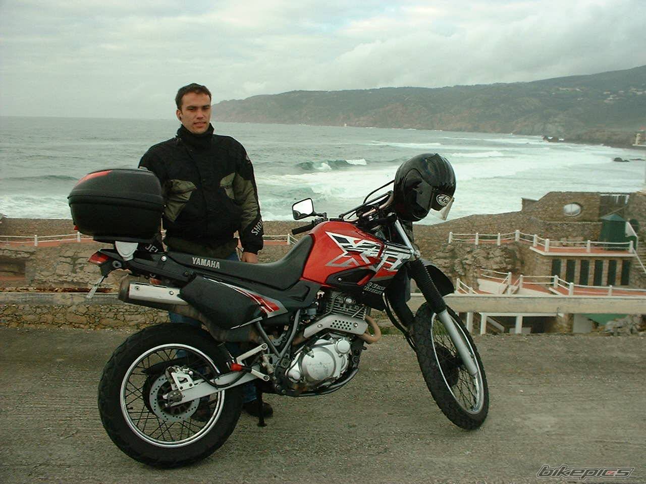 Bike Photo 356373