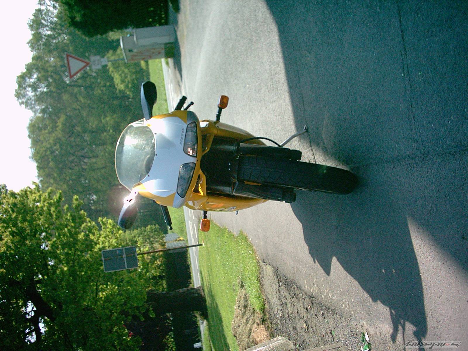 Bike Photo 356546