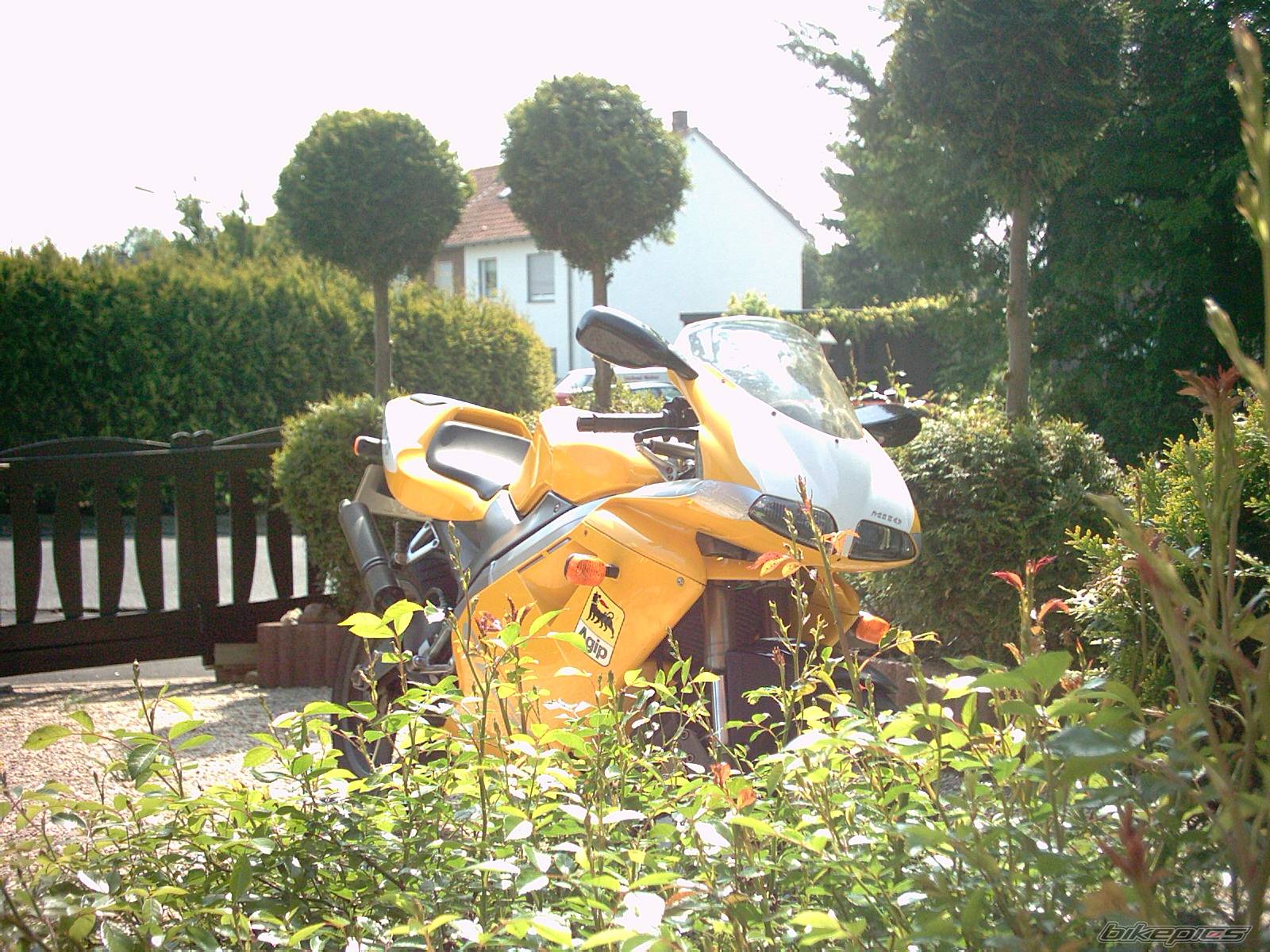 Bike Photo 356577