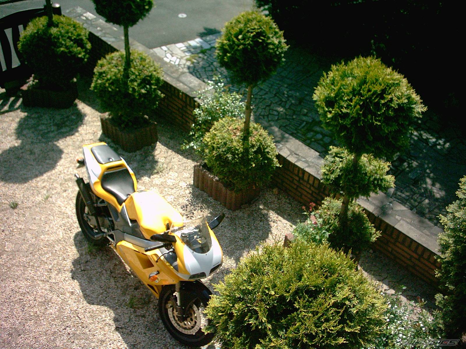 Bike Photo 356582