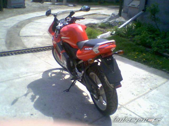 Photo 356593